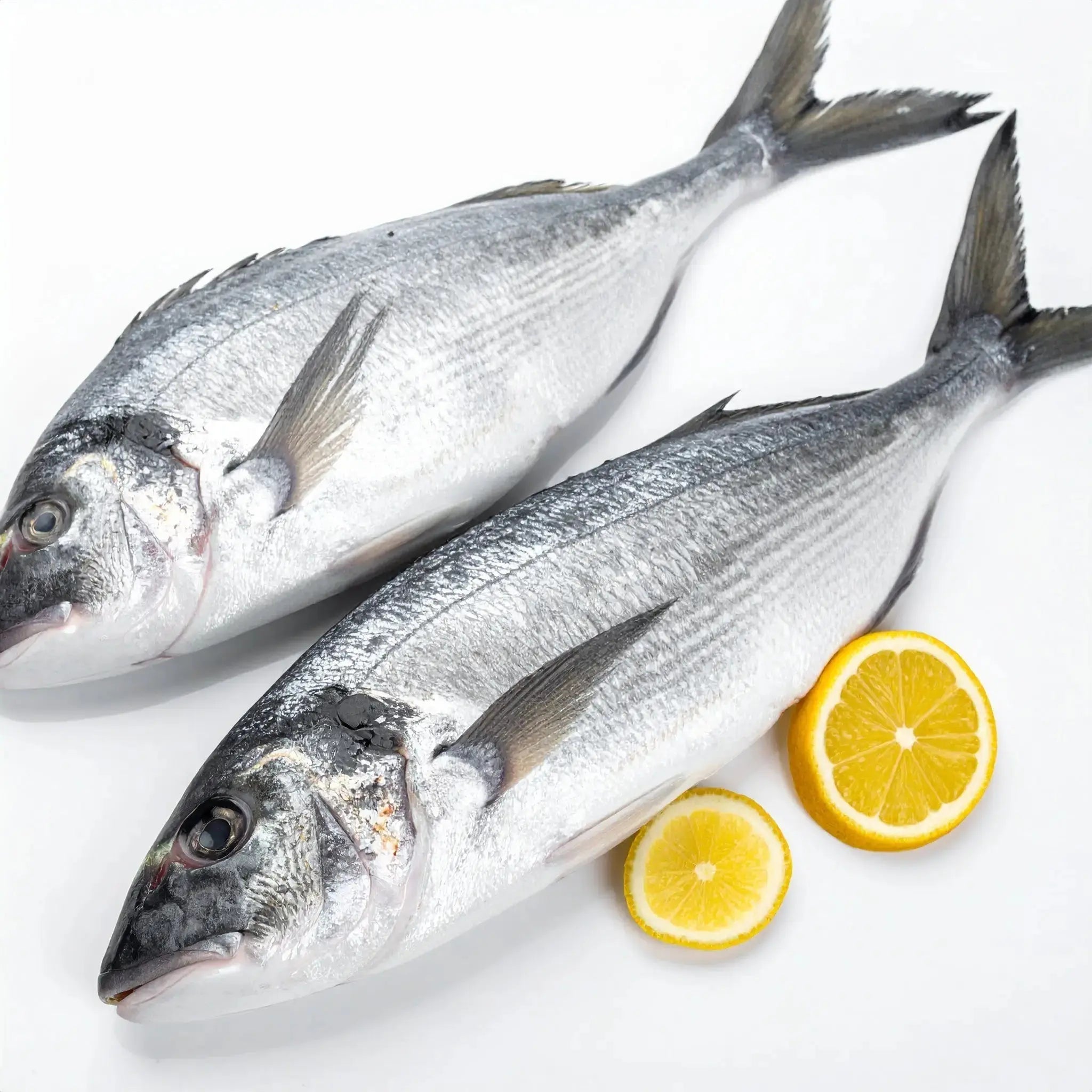 Série: à la redécouverte des aliments/ l'achigan LUSOQUOT