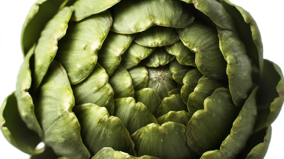 Série: à la redécouverte des aliments/ l'artichaut : le rituel détox LUSOQUOT