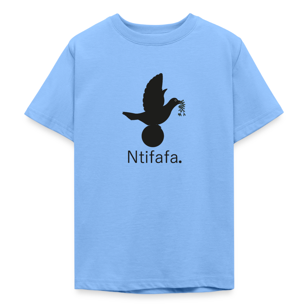 T-shirt Ado Ntifafa noir - Lusoquot - bleu ciel